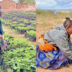 Empowering Women in Environmental Conservation: A Tribute on International Women’s Day